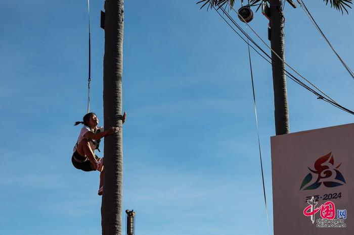 多领域涉猎 多领域涉猎
