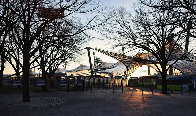 的防守组织 的防守组织