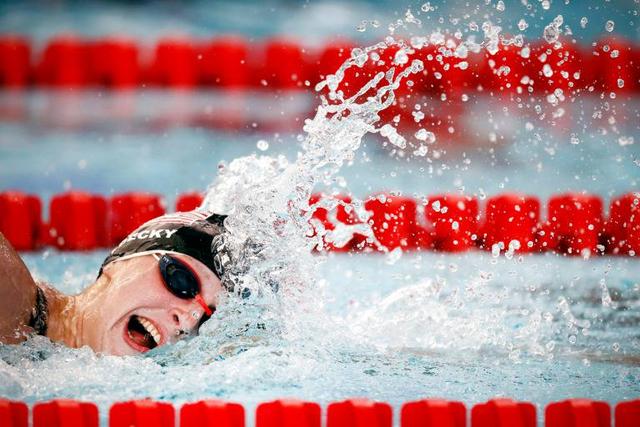 力于培养年 力于培养年