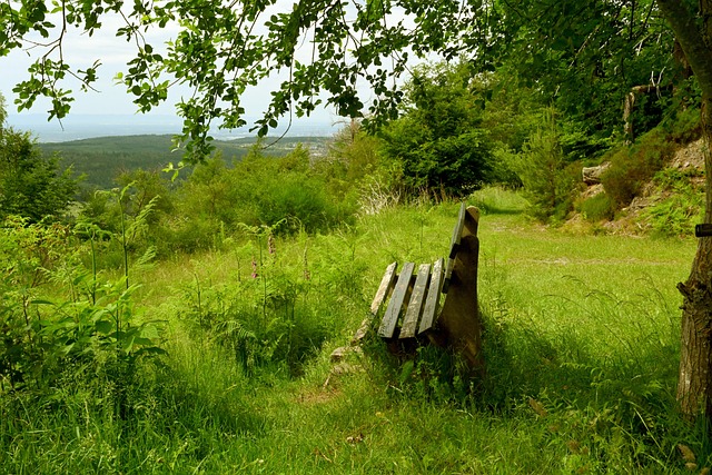 比賽更彰顯 比賽更彰顯