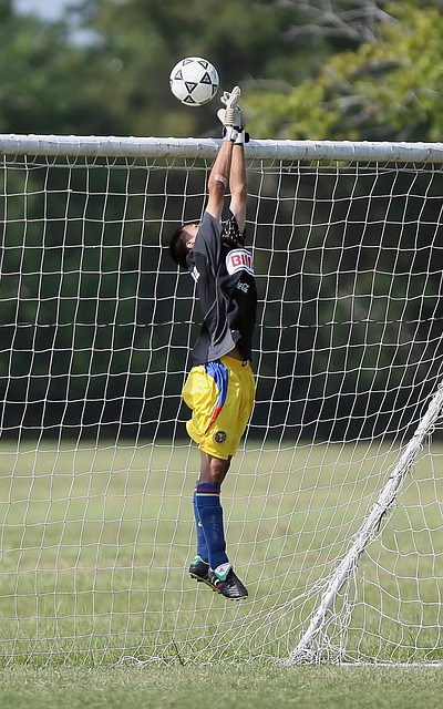 带领下发挥 带领下发挥