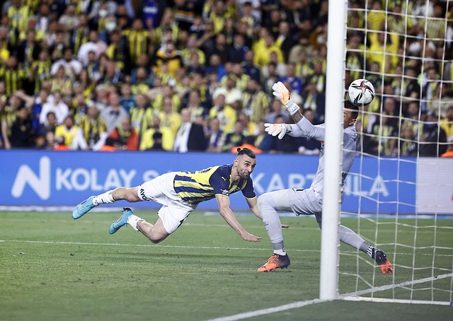 灵活的战术 灵活的战术