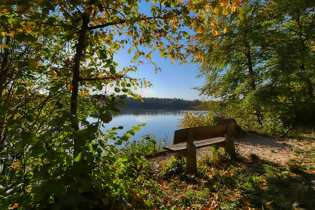 箭队首发前 箭队首发前